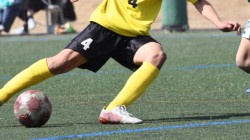 スポーツ観戦