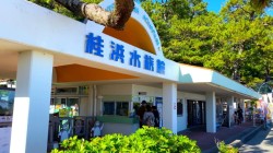 桂浜水族館