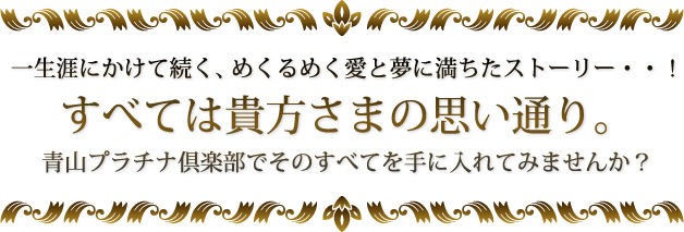 すべては貴方さまの思い通り。